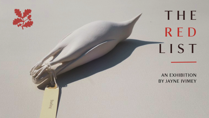 a poster style graphic of a bird sculpture by Jayne Ivimey. The sculpture is a porcelain clay bird, unglazed. The text reads 'The Red List'